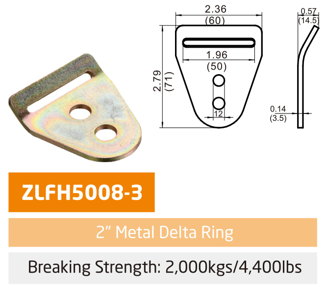 �޼����ʳ�